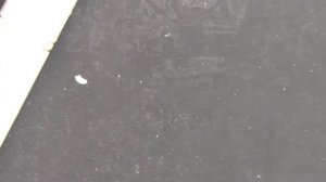 Вентилятор (кулер) ноутбука держит максимальные обороты ASUS ROG STRIX GL553V Ремонтируем...