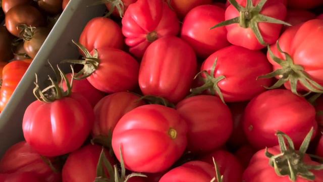 Товар на рынок 31 июля.