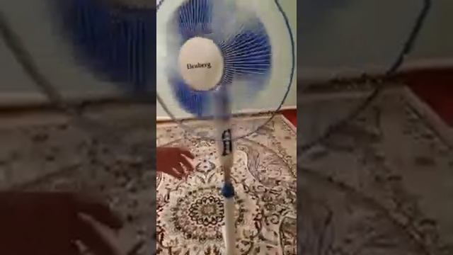 Обзор на вентилятор Elenberg в Сулпак
