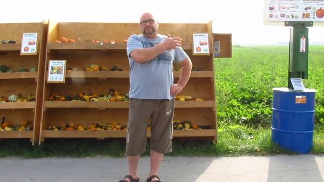 Коммунизм в Баварии смотреть онлайн