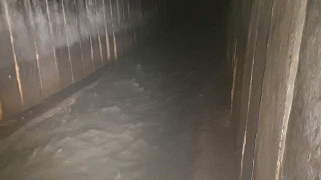 Полтва під Кільцем Чорновола-Липинськгого в Суху погоду смотреть онлайн