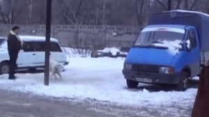 Проверка Алабая на Охрану