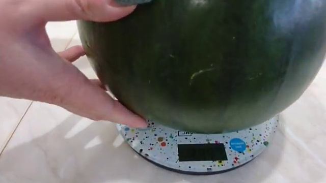 Сколько весит арбуз 🍉 смотреть онлайн