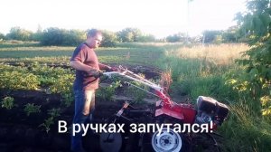 Брайт 135:первая работа с окучником