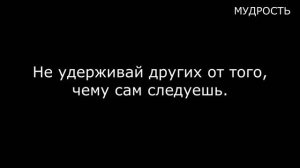 Изумительные Арабские Пословицы и Поговорки, Которые Заставляют Задуматься. Цитаты Арабских Мудрецо