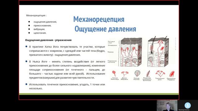 Чувствительность в йоге. Кожный анализатор. Лекция для курса по Ньяса йоге. смотреть онлайн