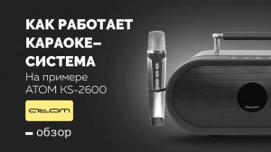 Как работает караоке система?