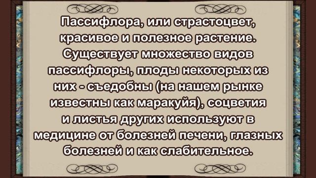 ТОП10 Самых_Необычных_Цветов_на_Планете✔The_Most_Unusual_Flowers_on_the_Planet?Музыка_Андрея_Обидин