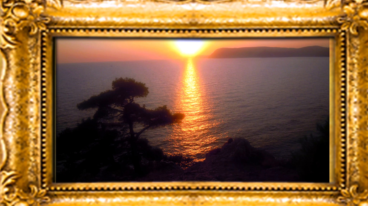 №14. Летний Вело-Крым-2011, ИНЖИРСКИЕ ЗАРИСОВКИ.