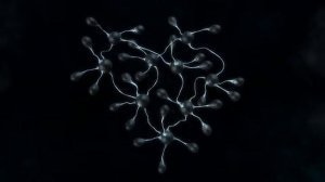 Концовка игры ТУРГОР Голос цвета  Прорыв   Яня