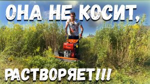 Авторитетная косилка, соседи будут уважать!