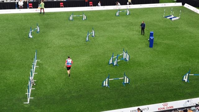 FIONA Martin Brunner Large Jumping AWC 2019 смотреть онлайн