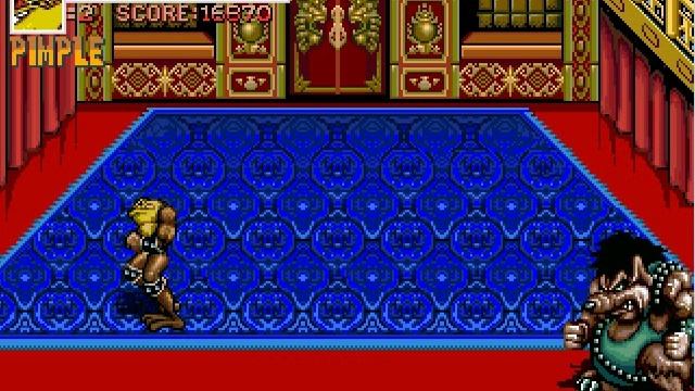 Battletoads & Double Dragon, ver. 5.0 [OpenBoR] - Survival