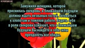 К чему снится Свекровь сонник, толкование сна