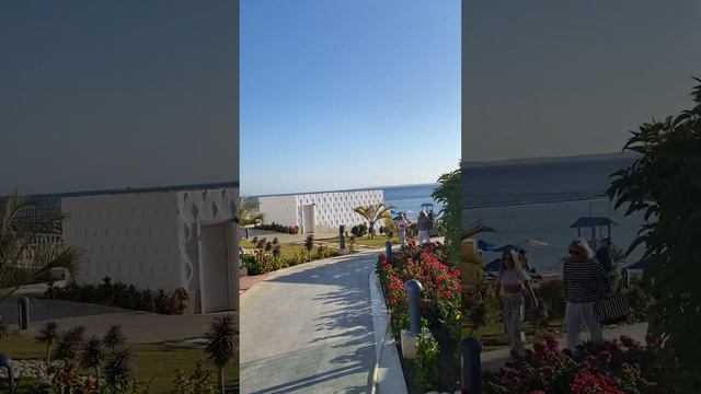 Альбатрос Палас Шарм Эль Шейх Albatros Palace Sharm El Sheikh полный обзор отеля hotel inspection