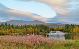 С.Сорокин. В защиту аборигенов Севера..wmv