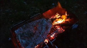 Приготовление судака на мангале