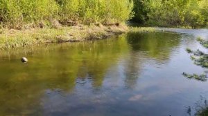 Река Куштумга - памятник природы