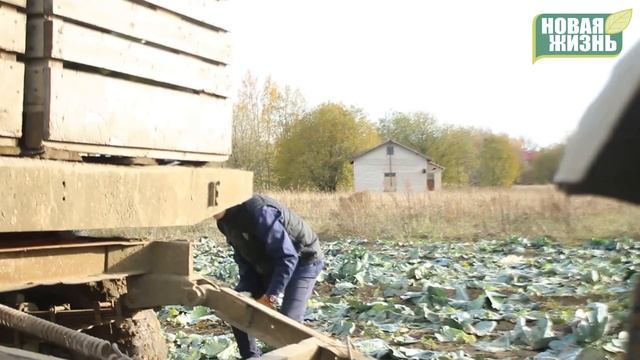 Символично - собираем растраченную силу и волю.