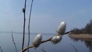 Зачем живёт человек новый