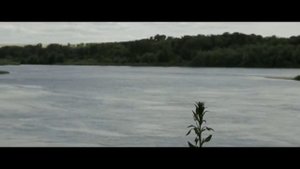 Ростовская обл. ст. Казанская