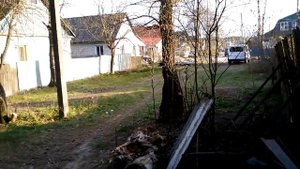 Pов на краю старой Жуковки