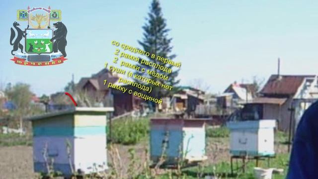 Разведение пчёл с одного, до трёх ульев за одно лето ! смотреть онлайн