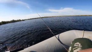 Лысый лиман 40