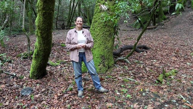 120 - Seed Dispersal (Updated see video#220) смотреть онлайн