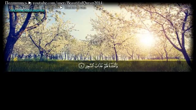 ЭТА СУРА ПРОЩАЕТ ВСЕ ГРЕХИ - ЗАЩИЩАЕТ ОТ МУЧЕНИЙ В МОГИЛЕ, ЗАСТУПНИЧЕСТВО В ДЕНЬ СУДА смотреть онлайн