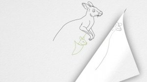 How to draw a KANGAROO step by step