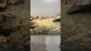 Как снять старую краску с батареи ?