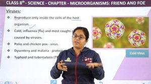 What is Microorganisms? - Microorganisms : Friend and Foe | Class 8 Science Chapter 2