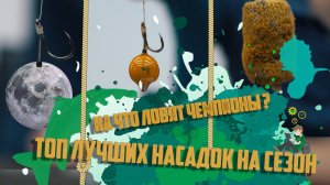 Лучшие Насадки для карпа. На, что мы выиграли все Чемпионаты ?! Топ Насадок от Чемпионов России.