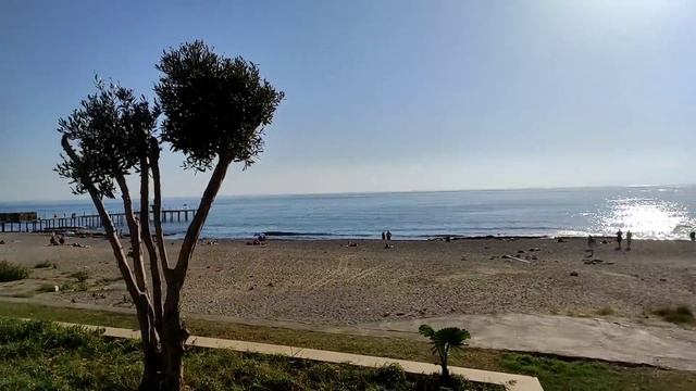 ПРОГУЛКИ У МОРЯ ◈ ТУРЕЦКИЙ ДЕТСКИЙ МАГАЗИН ◈ ОБЗОР ПОДГУЗНИКОВ ◈ Crystal garden смотреть онлайн