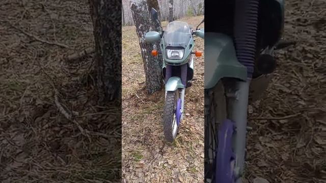 Kawasaki KLE400 в весеннем лесу!