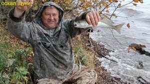 Рыбалка резинкой на судака