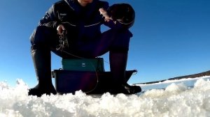 Окунь на топорик, зимняя рыбалка в Финском заливе | Ahven kombainiga Soome lahel | Winter fishing