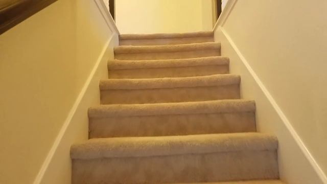 ЖИЛЬЕ В США. ОБЗОР ДОМА ЗА 209 К. В ХЬЮСТОНЕ, ШТАТ ТЕХАС смотреть онлайн