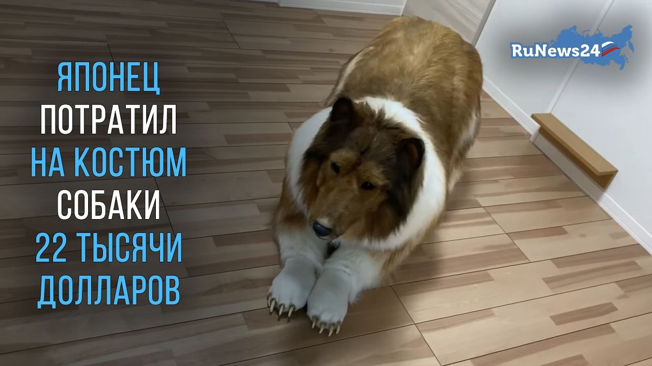 Японец потратил на гиперреалистичный костюм собаки породы колли 22 тысячи долларов