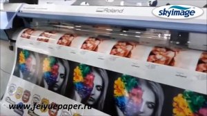 Roland VersaCAMM VS 640i Широкоформатный Плоттер   Каттер   Nanjing Fei Yue