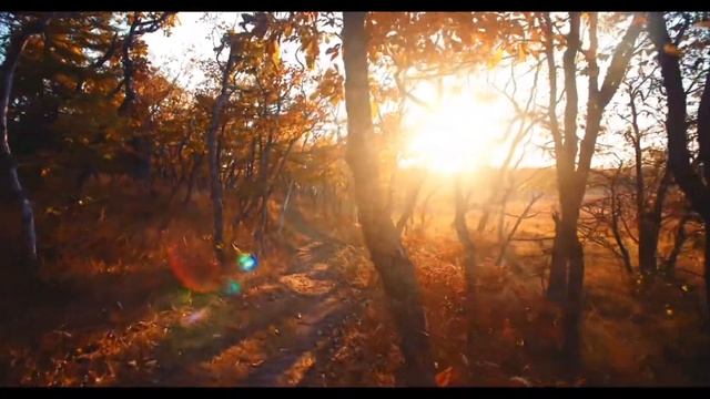 Фототур "Земля Сихотэ-Алиня"