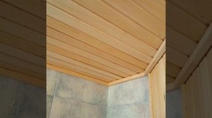 Парилка с электрокаменкой