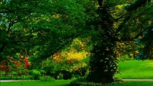 Relaxation Music for Epilepsy - soothing relaxing music for healing - Epilepsy Portal Sanctuary