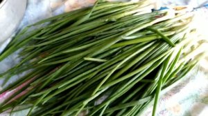 10 июня 2021 г//заготовка зелёного лука на зиму.