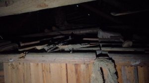 Все по заветам Вождя  Заброшенная деревня Костромской области.