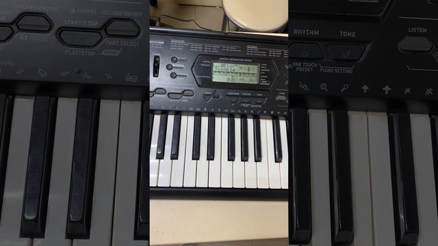 Синтезатор CASIO CTK-3000 смотреть онлайн