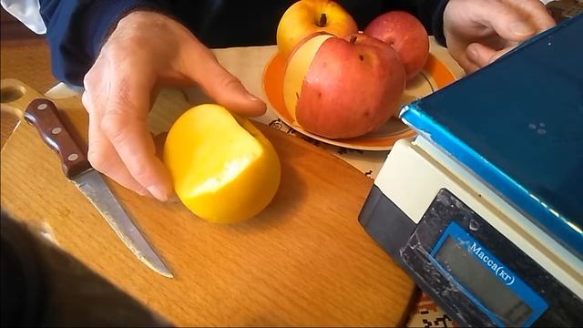 яблоки сортов Кадел, Муцу, Айдаред, Чемпион - дегустация, характеристики смотреть онлайн