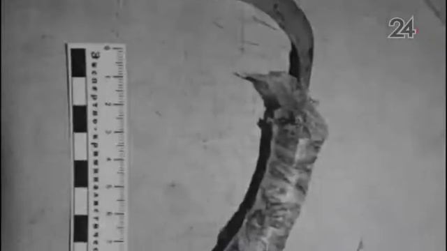 В Нижнекамске мужчина ударил ножом в шею своего собутыльника смотреть онлайн