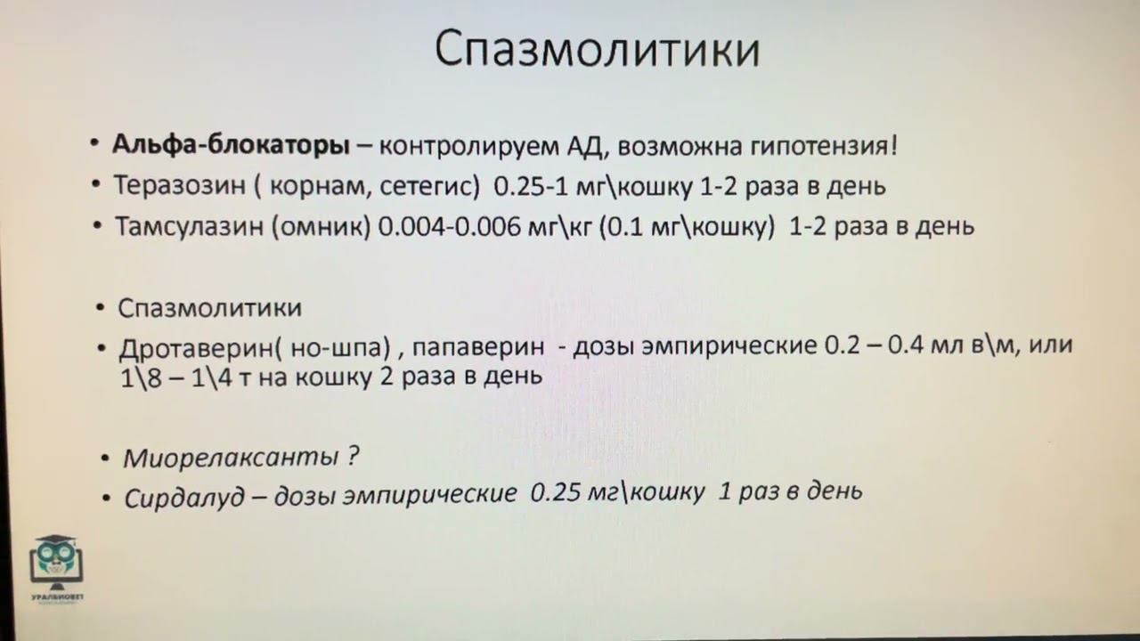 Используют ли врачи докмеды препараты с недоказанной эффективностью?...